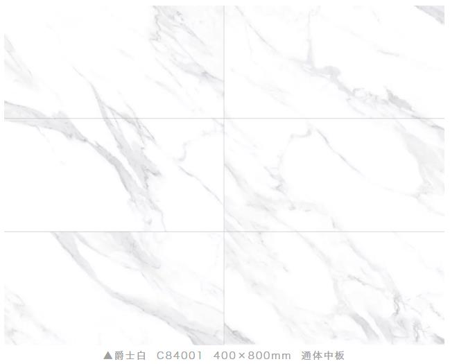 陶博会收官，小蝌蚪视频污下载APP瓷砖魅力绽放！(图4)